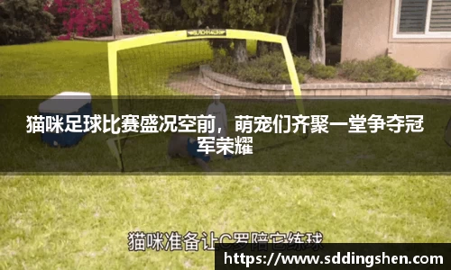 ub8优游官方网站